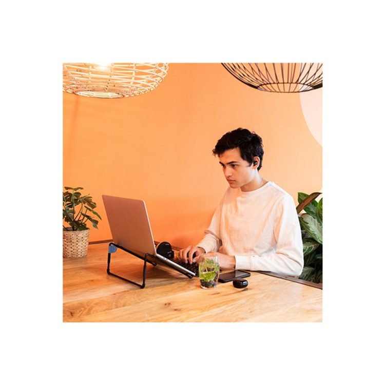 R-Go Steel Travel Laptop Stand