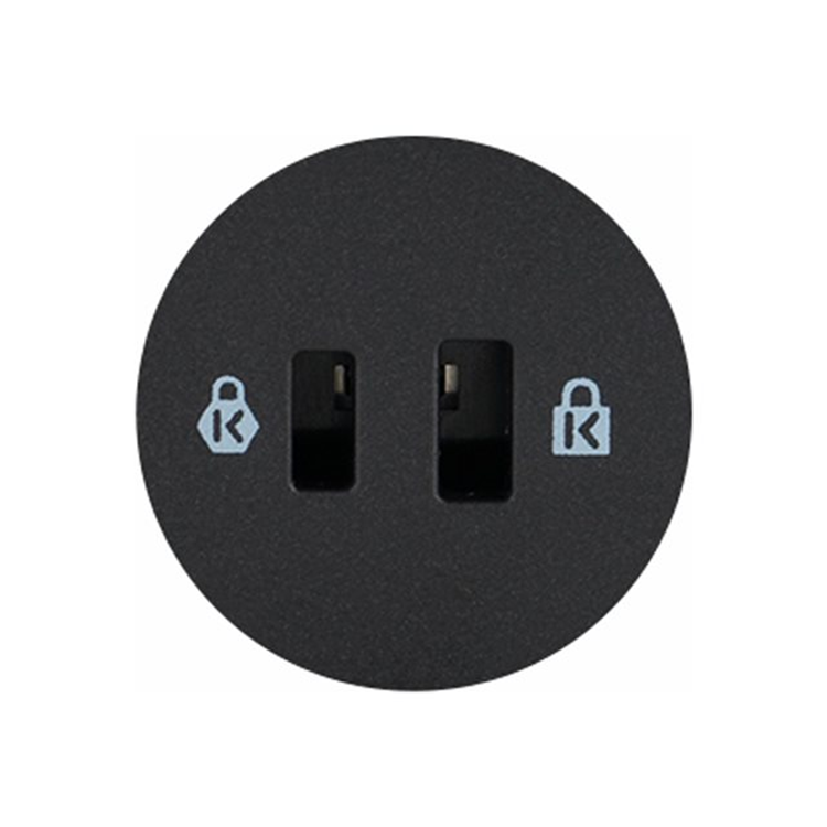 SD4781P USB-C USB-A DUAL 4K DOCKING STAT