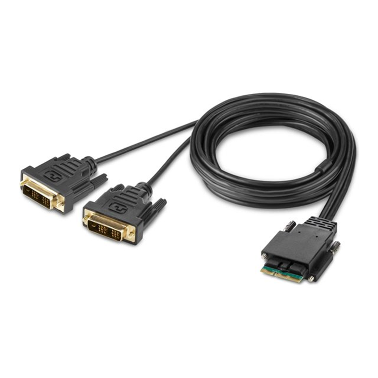 2-Port Dual Head DVI Modular Secure KVM