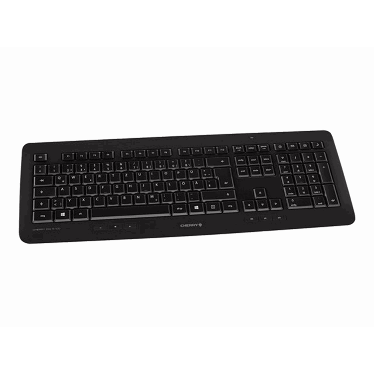 CHERRY DW 5100 Keyboard and Mouse