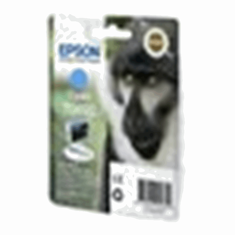 INK CARTRIDGE EPSON T089240 CY