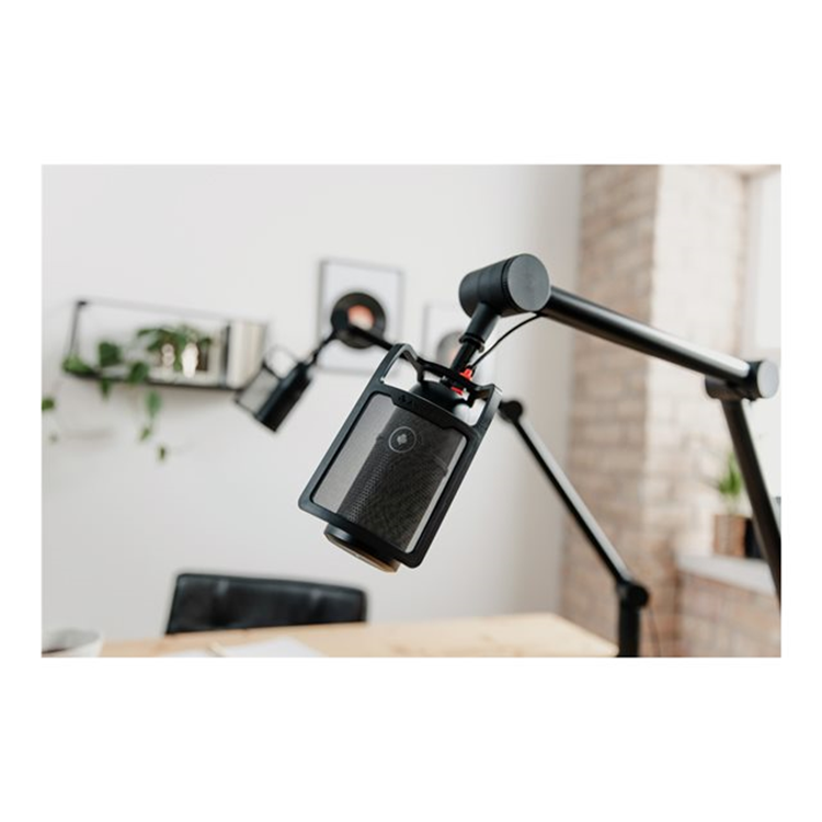 CHERRY UM POP FILTER