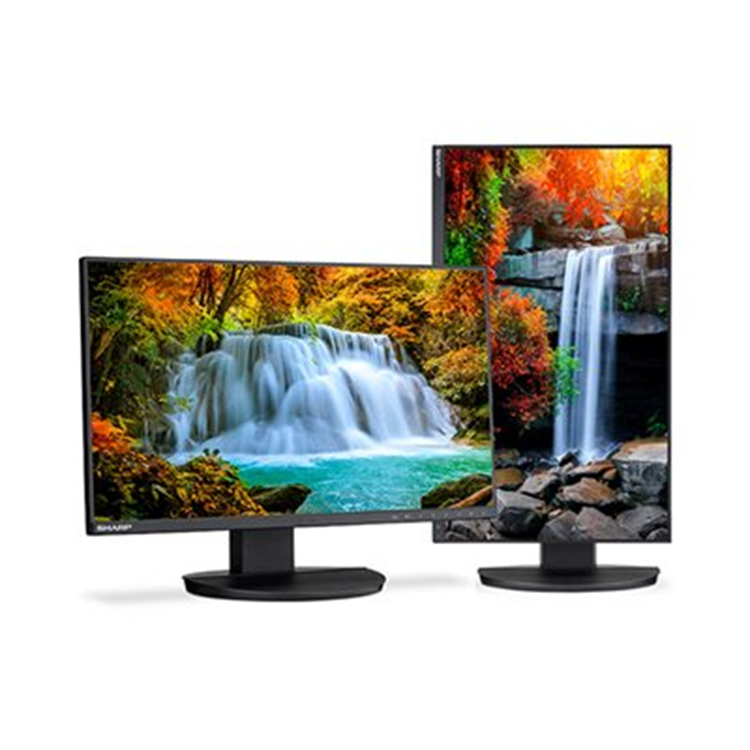 Multisync DD-EA242F