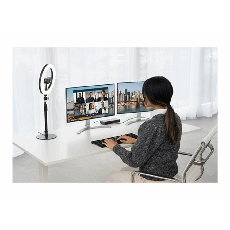 Kensington A1010 Telescoping Desk Stand