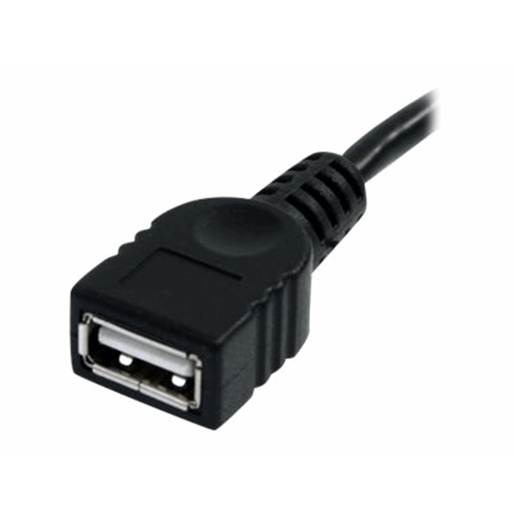 10FT BLACK USB 2.0 EXTENSION CABLE A