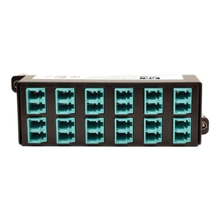 10GbE Pass-Through Cassette - x12 LC D