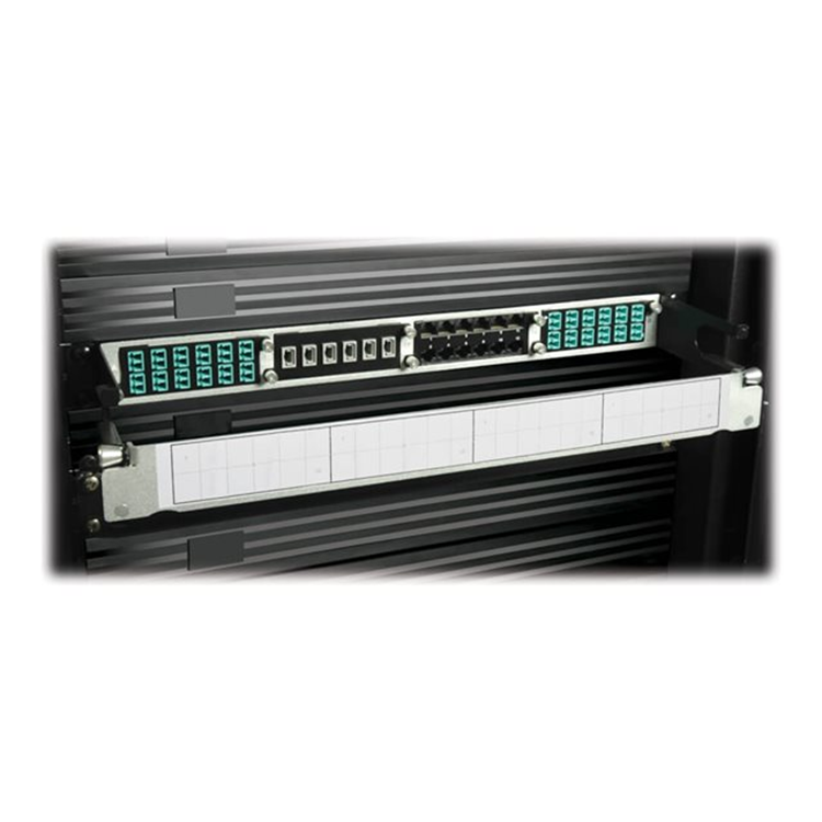 10GbE Pass-Through Cassette - x12 LC D