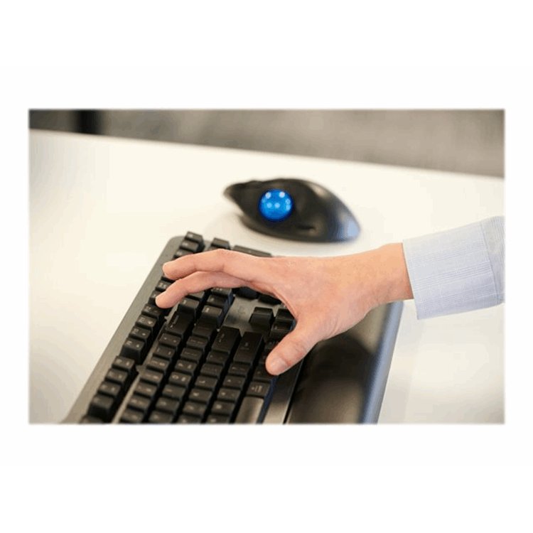 Kensington ProFit Ergo TB450 Trackball Kensington ProFit Ergo TB450 Trackball