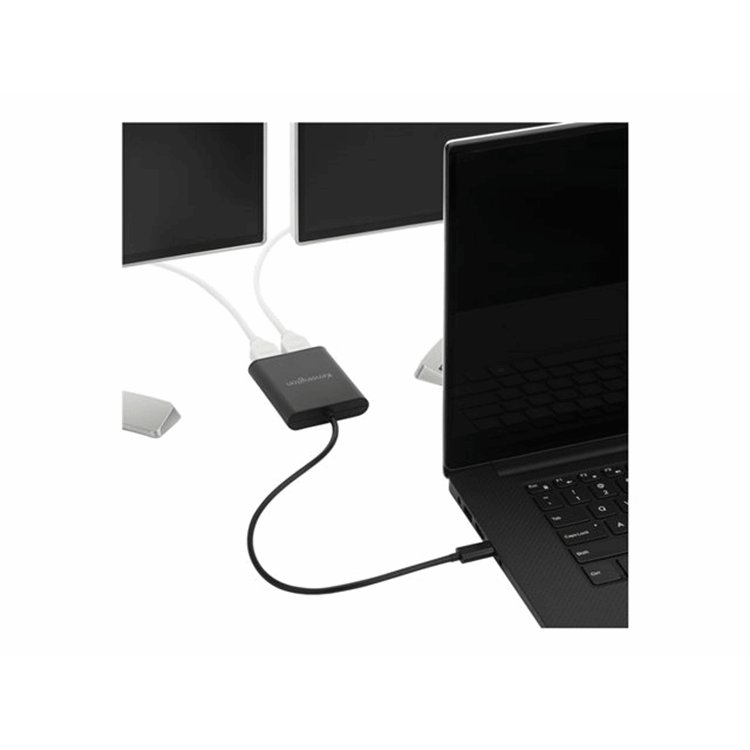 USB-C to Dual DisplayPort 1.2 Video