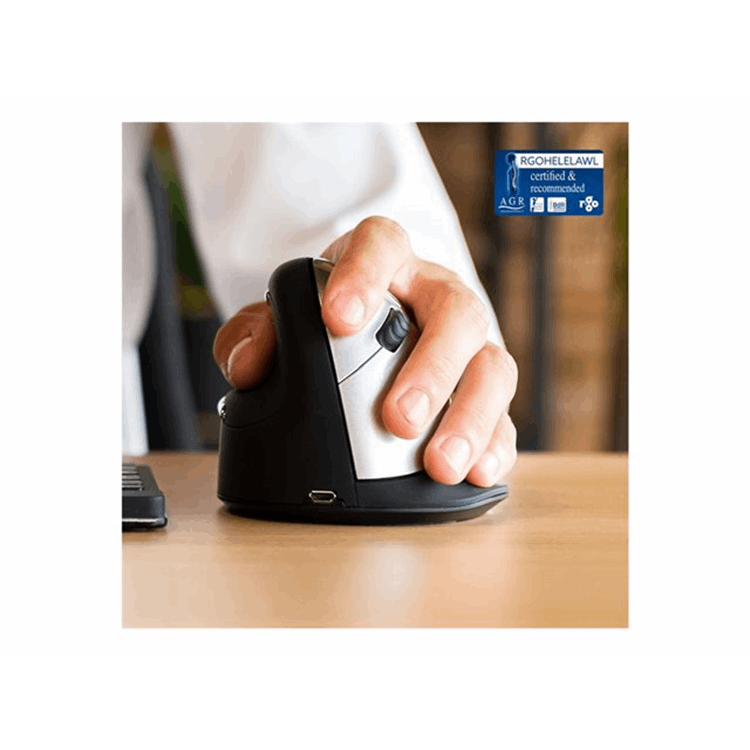 R-Go HE Mouse Ergonomic mouse Large (Han R-Go HE Mouse Ergonomic mouse Large (Han
