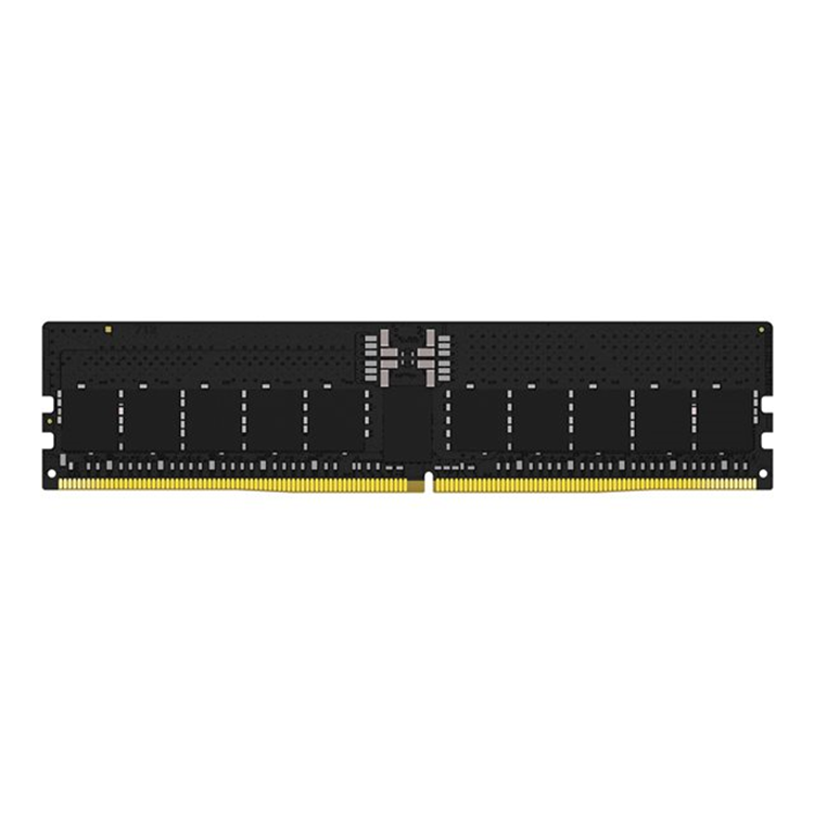 256GB DDR5-5600MT/s ECCReg CL36 DIMM (Ki 256GB DDR5-5600MT/s ECCReg CL36 DIMM (Ki