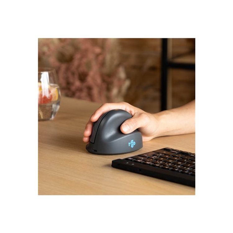 R-Go HE Basic vertical mouse medium R-Go HE Basic vertical mouse medium