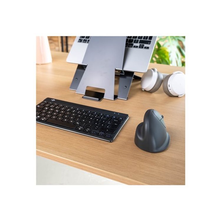 R-Go HE Basic vertical mouse medium R-Go HE Basic vertical mouse medium
