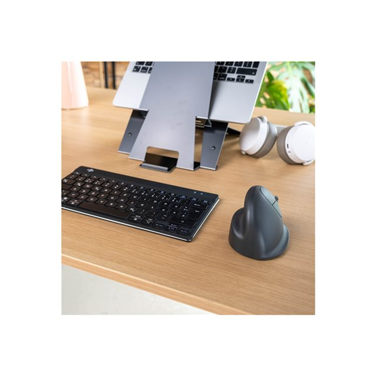 R-Go HE Basic vertical mouse medium
