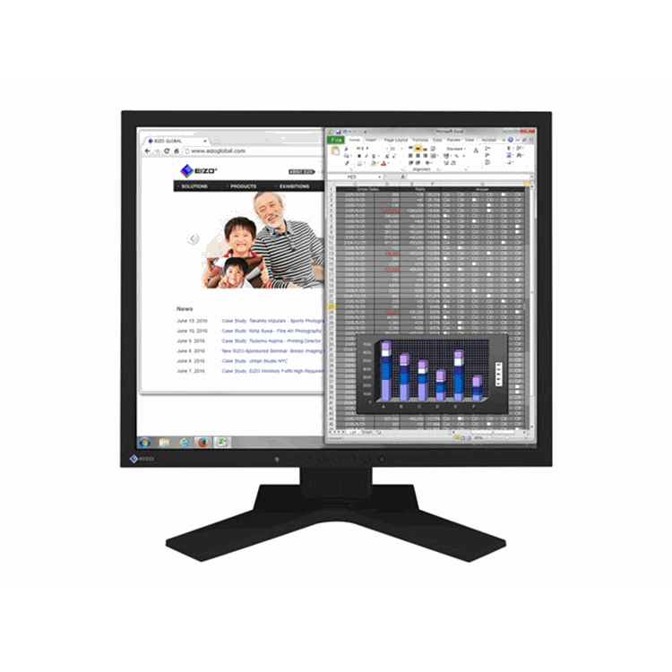 Flexscan/19 Inch/1280 x 1024/Black/IPS/14ms/ 250cd/m2/1000:1/LED Backlight