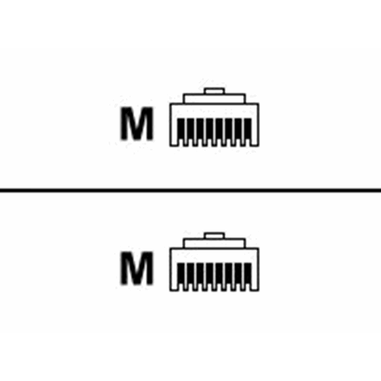 3 0m Cat5e Cable (RJ45 Male to Male)