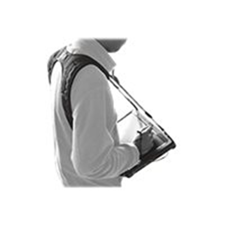 Shoulder Harness 4-point Shoulder Harness 4-point