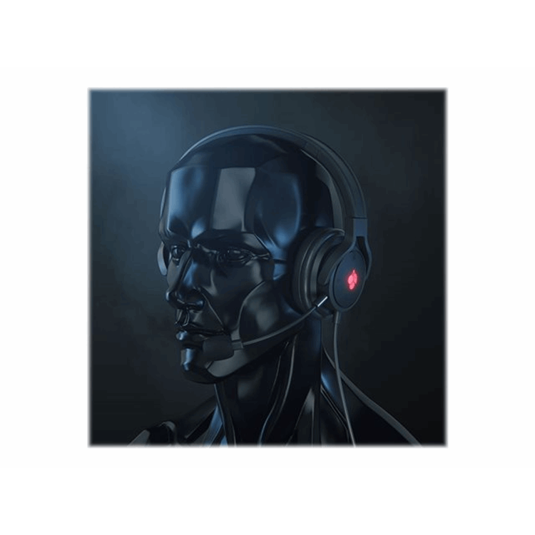 HC 2.2 - Headset - Corded - Black