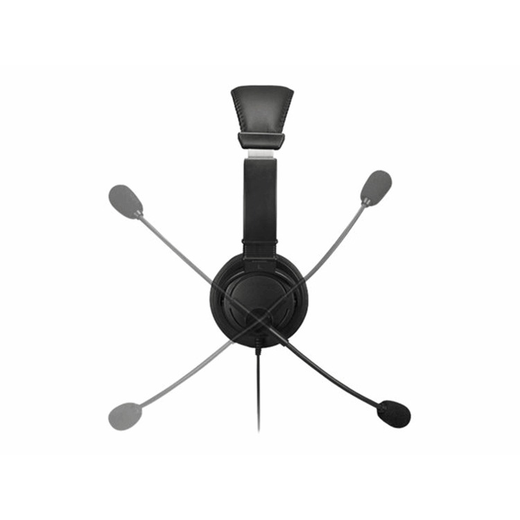 HiFi Headphones with