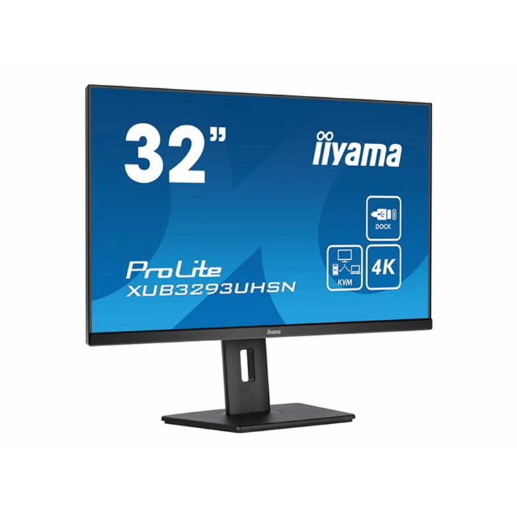 32"W LCD Business 4K UHD IPS USB-C Dock