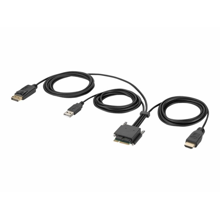 Modular HDMI and DP Dual Head Host Cable Modular HDMI and DP Dual Head Host Cable