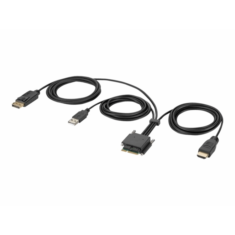 Modular HDMI and DP Dual Head Host Cable Modular HDMI and DP Dual Head Host Cable