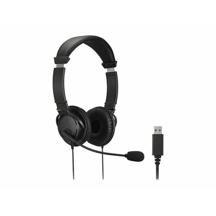 USB-A HiFi Headphone