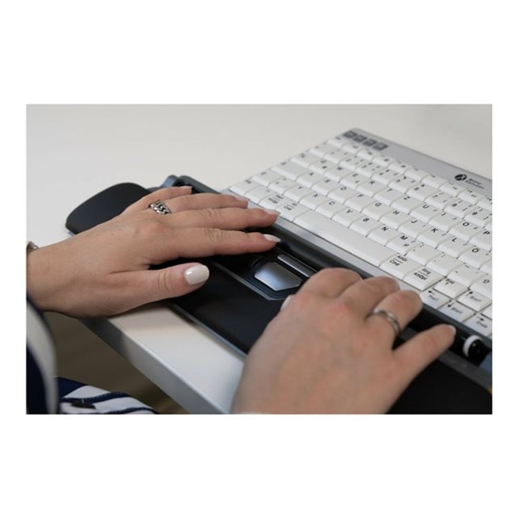 ErgoSlider+Central Mouse