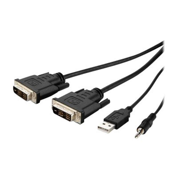 TAA Dual-Head DVI-D to HDMI High Retenti