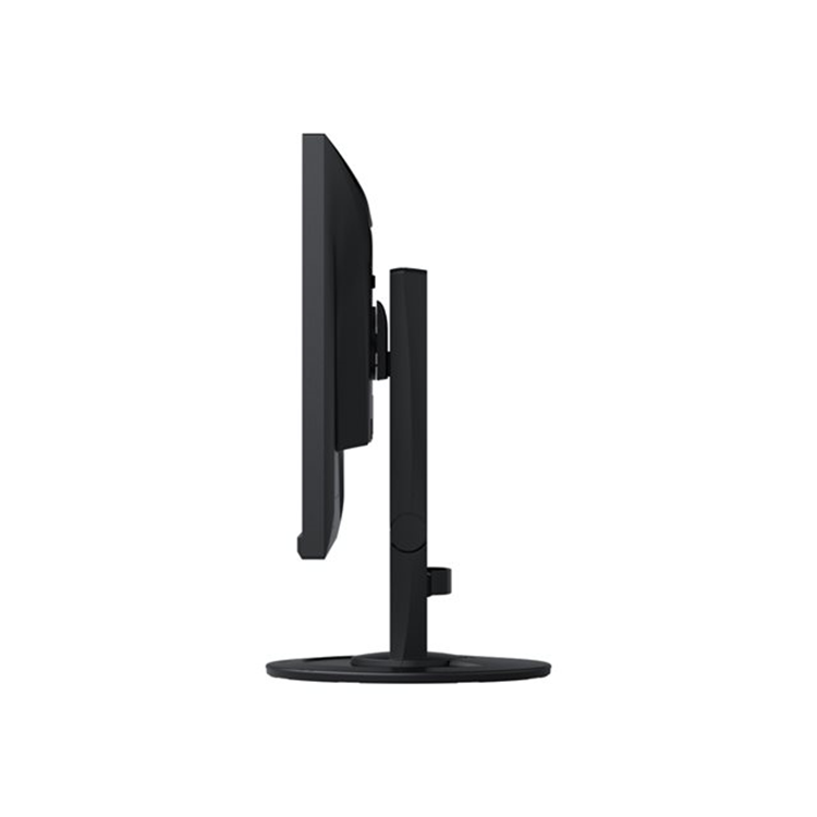 Flexscan/ 24 Inch Widescreen/ 1920 x 1080/ Black/ IPS/ 5MS/ 1000:1/ Speakers/ 3.1/ LED Blacklight