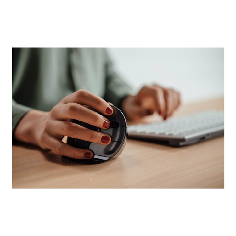 Bakker Evoluent D Mouse Wireless