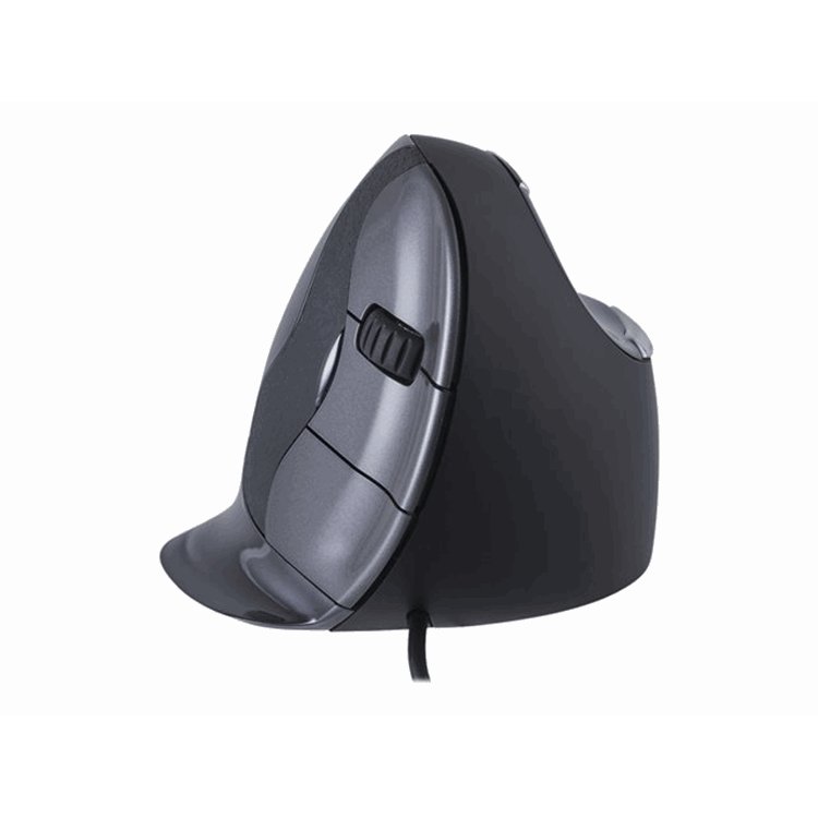 Bakker Evoluent D Mouse