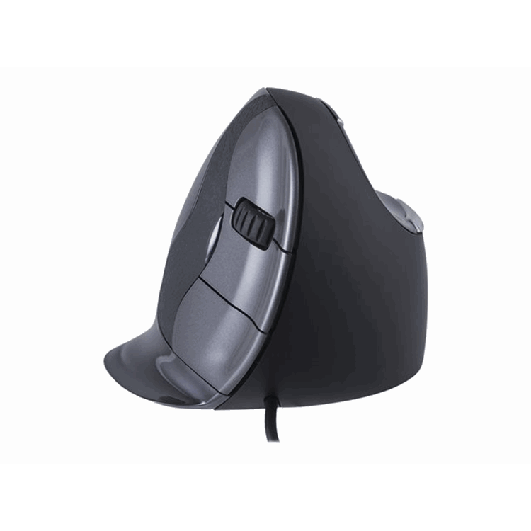 Bakker Evoluent D Mouse