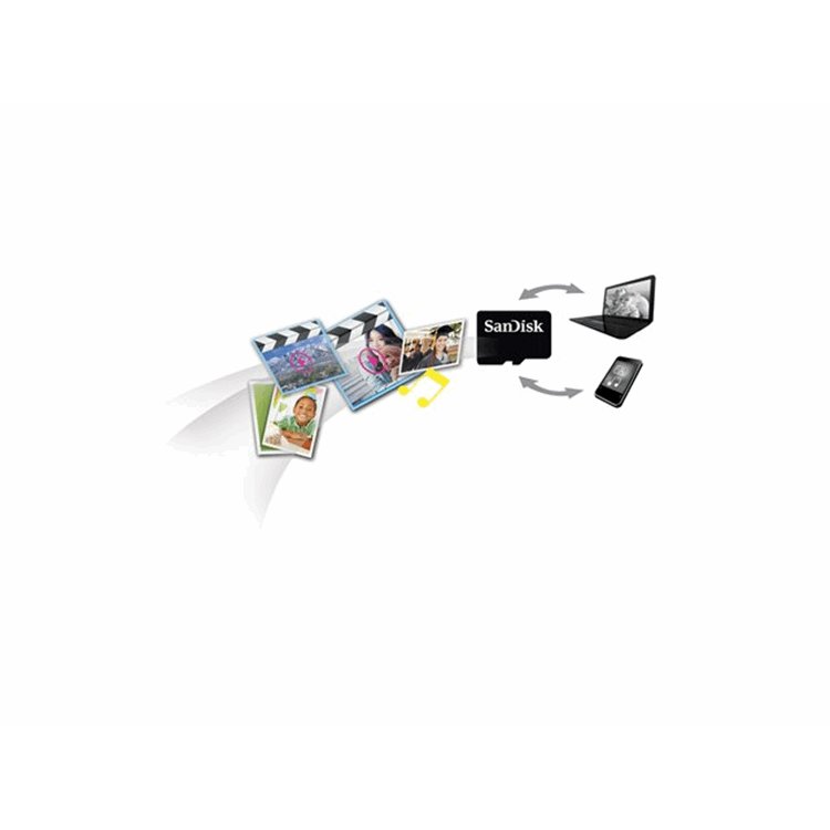 SanDisk microSDHC 32GB Card Only SanDisk microSDHC 32GB Card Only