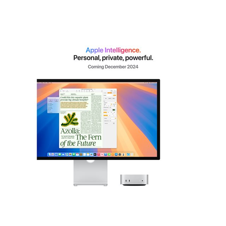 APPLE MAC MINI/10C/10C/24GB/512GB BEL