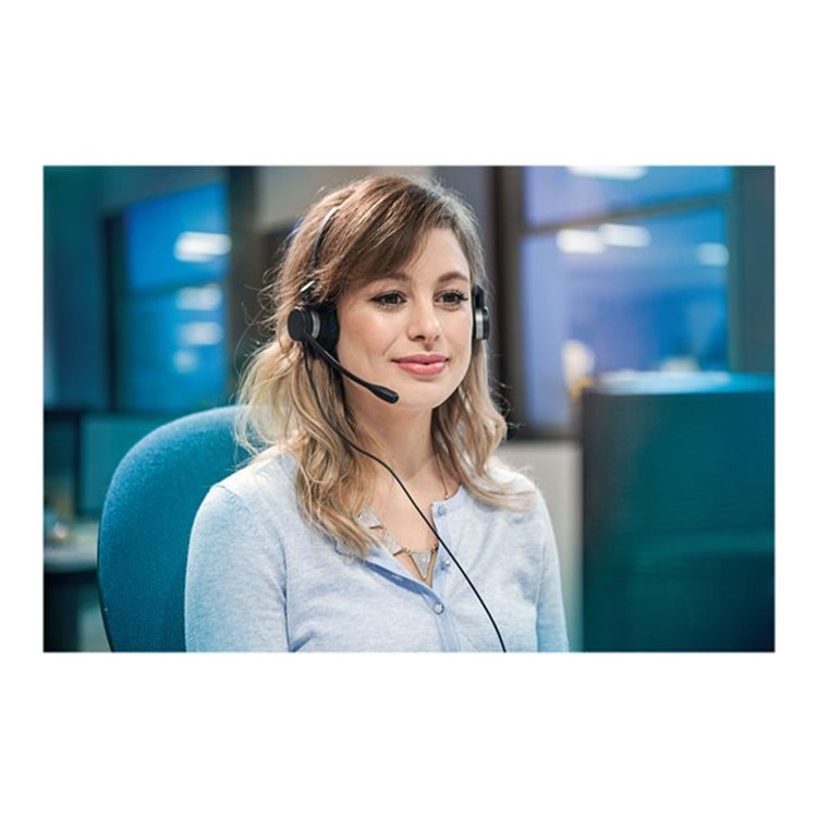 Jabra BIZ 2300 Duo Typ: 82 E-STD