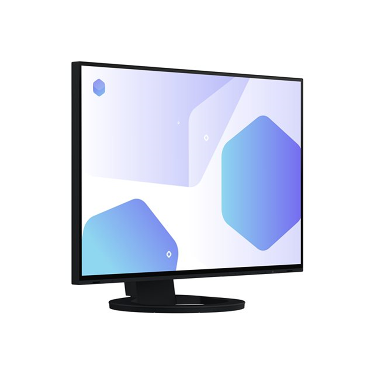 EIZO 24inch IPS LCD 1920x1200