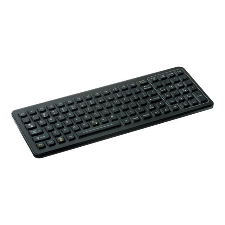 KEYBD, 101 KEY, BACKLIT SLK-101 WIN ROHS