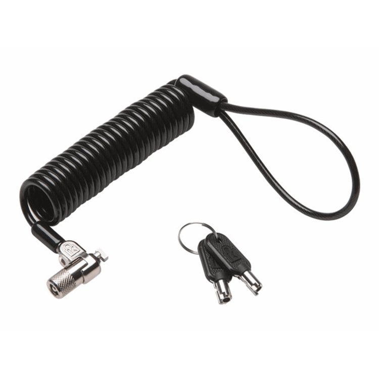 Portable MicroSaver2.0 Lock