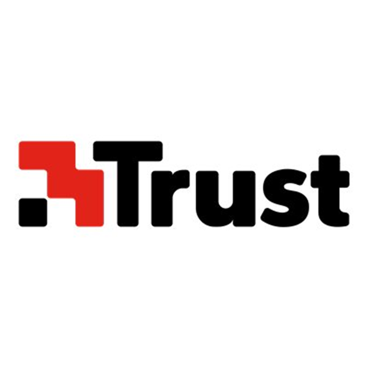 SYMANTEC Norton Small Business Security