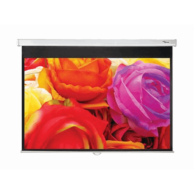 MANUAL Projection screen 16:10 95