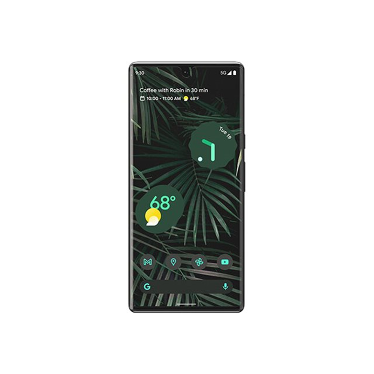 OtterBox CP Film Google Pixel 6 Pro -