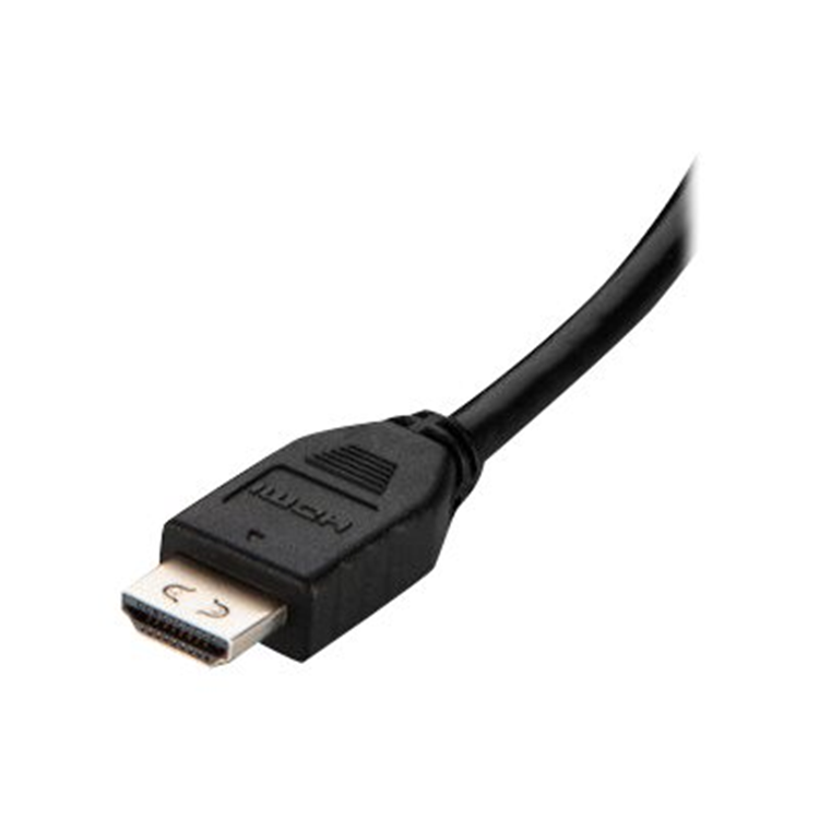 TAA HDMI to DVI-DL Cable 3m TAA HDMI to DVI-DL Cable 3m