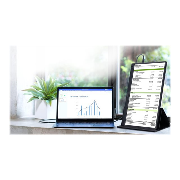 ASUS ZenScreen MB166C 15.6inch IPS FHD