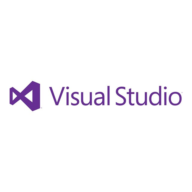 MS SPLA VSTeamFndtnSvr Bsc SAL C-STD