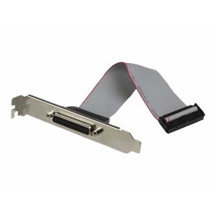 2 Port PCI Express PCIe Parallel Adapter