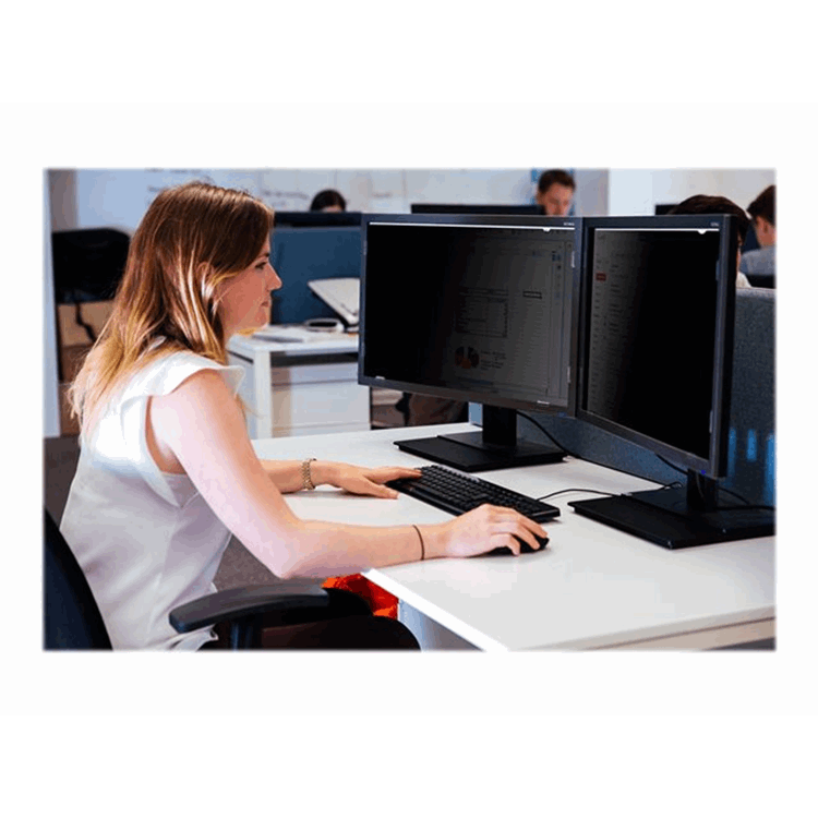 Privacy Screen 21.5in W 16:9