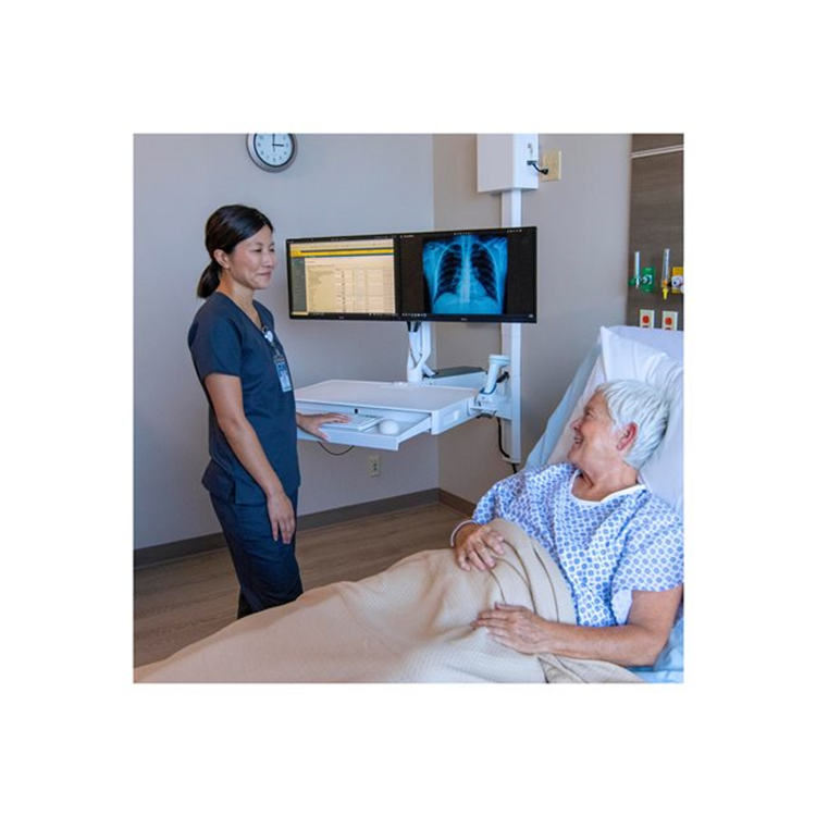 CAREFIT COMBO DUAL MONITOR KIT SNOW