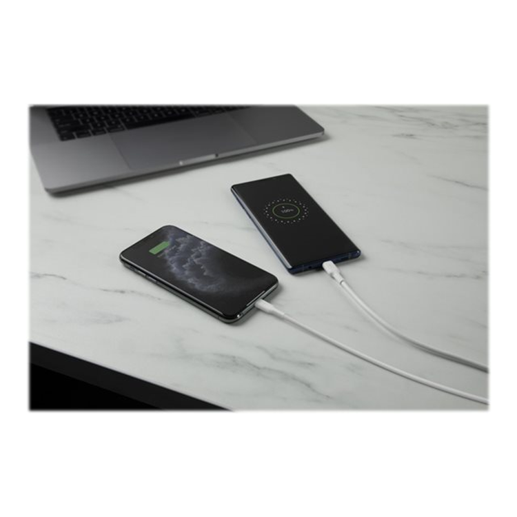 BELKIN DualUSB-A WllChr 1M PVC A-LTG 24W