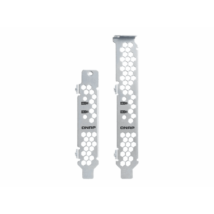 Dual M.2 22110/2280 SATA SSD